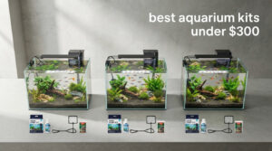 best aquarium kits under $300