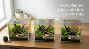best planted aquarium kits for shrimp